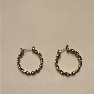 Elegant Gold Hoop Earrings
